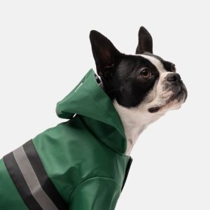 Aden Waterproof Dog Raincoat – Green Vinyl Rain Jacket with Reflective Strip & Poop Bag Dispenser - XL