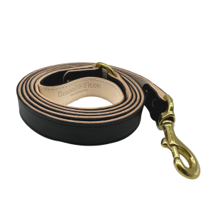 Plain Leather Dog Leashes - Black, 1"