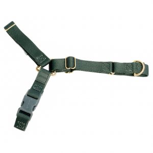 Roam Harness - X-Small, SPICE
