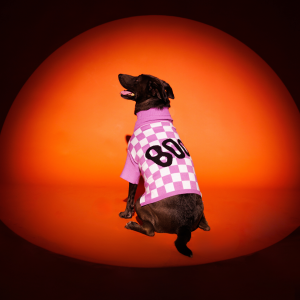 Purple People Eater Pet Sweater - L