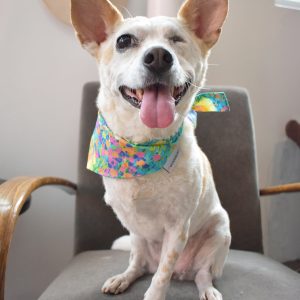 FLORAL BANDANA - Meadow, M