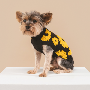 Sunflower Days Sweater - Petite Large