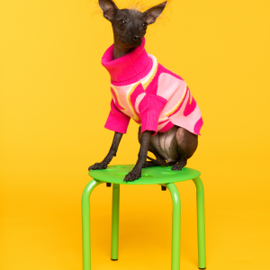 Pink Lemonade Pet Sweater - XL