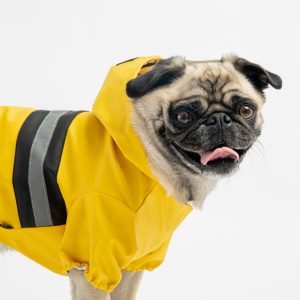 Aden Waterproof Dog Raincoat – Yellow Vinyl Rain Jacket with Reflective Strip & Poop Bag Dispenser - M