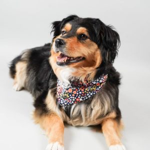 FLORAL BANDANA - Fall Floral, XS